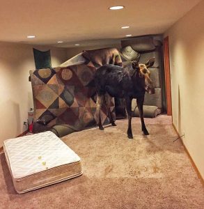 trapped moose