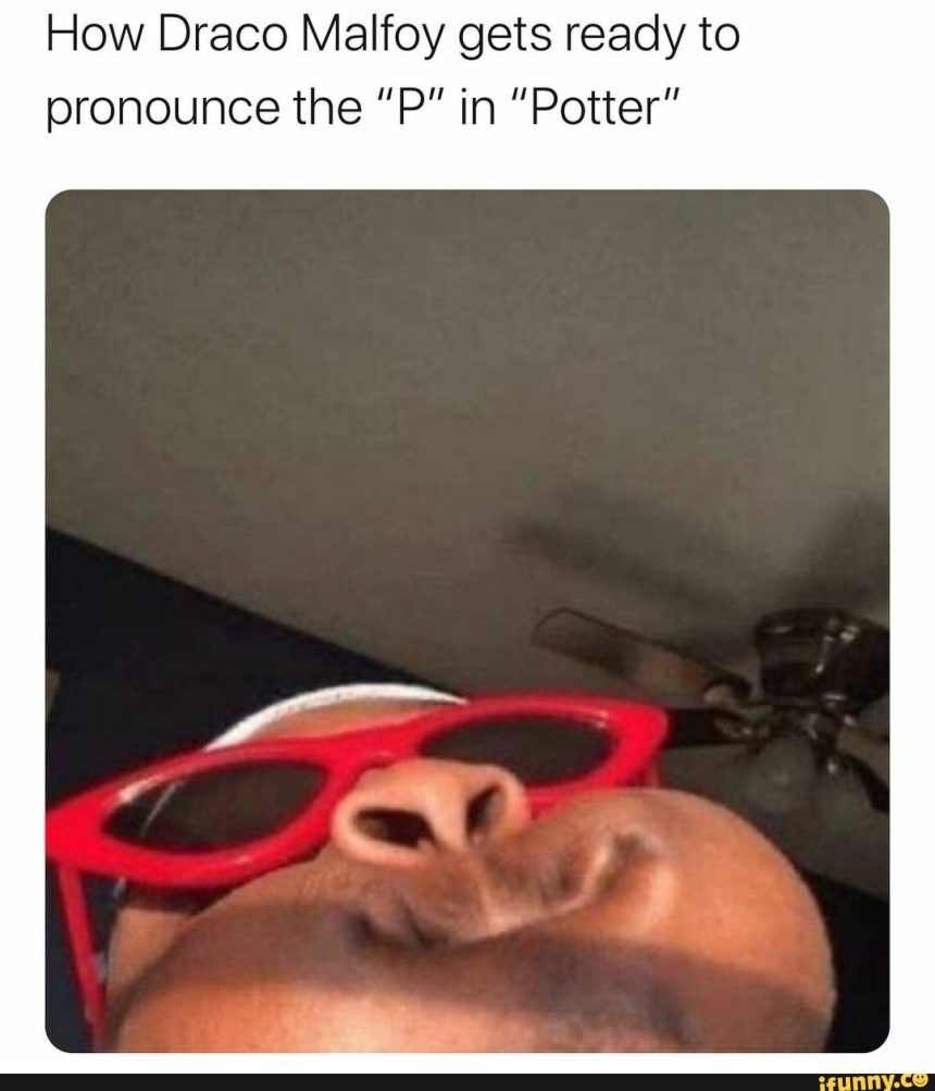 p in potter